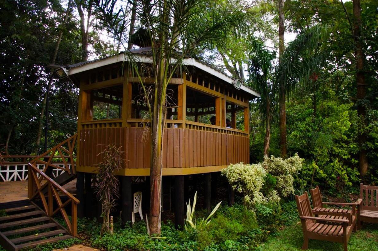 Edgewood Country Place Hotel Thika Eksteriør billede